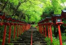 Ý nghĩa 5màu sắc tiêu biểu trong văn hóa Nhật Bản