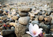 Các loại chữ viết trong tiếng Nhật