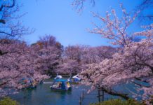 Lưu lại top 6 nơi đáng sống nhất Tokyo