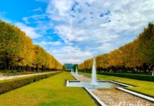 Ngắm lá thu ở công viên Showa Kinen Park