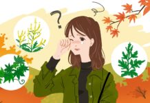 Ứng phó với dị ứng phấn hoa ở Nhật