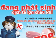 Phạt tù tới 3 năm nếu mang chế phẩm từ thịt vào Nhật mà chưa kiểm dịch