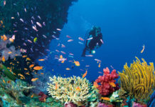 Những điều thú vị về Okinawa – vùng đất cực Nam của Nhật Bản