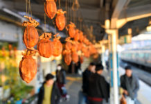 Những nhà ga độc lạ chỉ có ở Nhật Bản