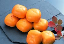 Những điều thú vị về quả hồng, loại trái cây đặc sản của mùa thu Nhật Bản