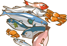 Từ vựng tiếng Nhật qua ảnh chủ đề: các loài cá và hải sản phổ biến ở Nhật