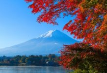 Số ca nhiễm mới Covid-19 giảm mạnh, Nhật Bản sẵn sàng dở bỏ tình trạng khẩn cấp