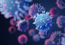 Tin tức Covid-19 ở Nhật Bản ngày 30 tháng 9 năm 2021