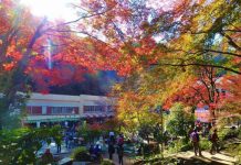 Hôm nay Nhật Bản ghi nhận thêm 611 ca nhiễm mới, trong đó Tokyo 77 ca