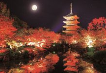 Lưu lại 12 địa điểm ngắm lá đỏ khu vực Kanto