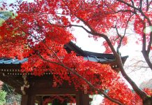 Tin tức Covid-19 ở Nhật Bản ngày 22 tháng 10 năm 2021