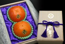 SỐC: 2 quả hồng giòn Nhật Bản có giá gần 172 triệu đồng