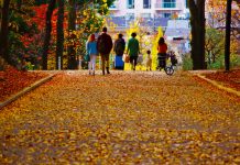 Hôm nay Nhật Bản ghi nhận thêm 86 ca nhiễm mới, Tokyo chỉ 9 ca