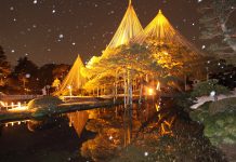 Tin tức Covid-19 ở Nhật Bản ngày 23 tháng 11 năm 2021