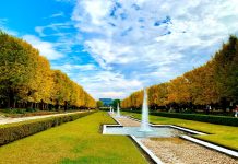 Top 5 địa điểm ngắm lá vàng ở Tokyo