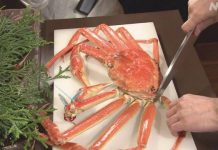 Con cua tuyết trị giá 1 tỷ đồng đã được phục vụ MIỄN PHÍ cho thực khách ở Kanazawa