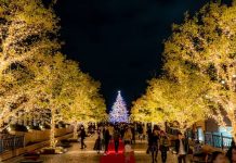 Tin tức Covid-19 ở Nhật Bản ngày 20 tháng 11 năm 2021