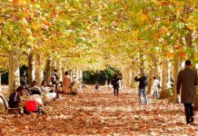 Tin tức Covid-19 ở Nhật Bản ngày 13 tháng 11 năm 2021