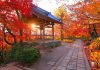 Top 10 địa điểm ngắm lá thu ở Kyoto