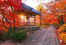 Top 10 địa điểm ngắm lá thu ở Kyoto