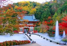 Lưu lại top 5 địa điểm ngắm lá thu ở Osaka