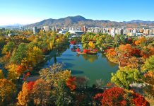 Top 5 địa điểm ngắm lá thu đẹp nhất Hokkaido