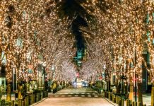 Tin tức Covid-19 ở Nhật Bản ngày 11 tháng 12 năm 2021