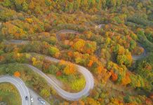 Tin tức Covid-19 ở Nhật Bản ngày 8 tháng 12 năm 2021