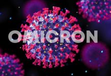 Tổng số ca nhiễm biến thể Omicron xác nhận được ở Nhật Bản đã tăng lên thành 82 ca