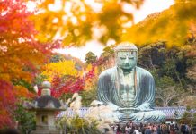 Tin tức Covid-19 ở Nhật Bản ngày 10 tháng 12 năm 2021