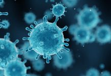 Chính phủ Nhật Bản quyết định rút ngắn thời gian tự cách ly để tăng tốc phục hồi kinh tế