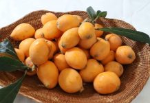 CẢNH BÁO: đề phòng ngộ độc hạt biwa